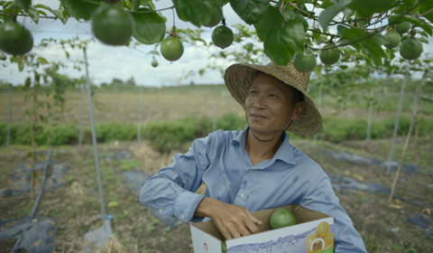原創(chuàng)脫貧攻堅(jiān)微電影《百香花開(kāi)》