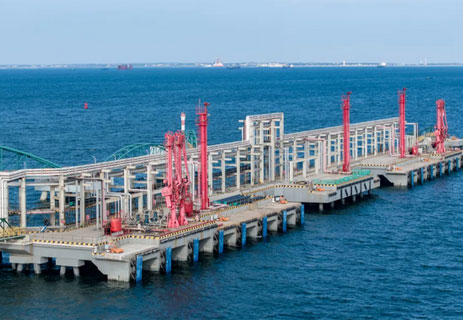 四航院總承包的中科合資廣東煉化一體化項目液化烴碼頭工程竣工驗收